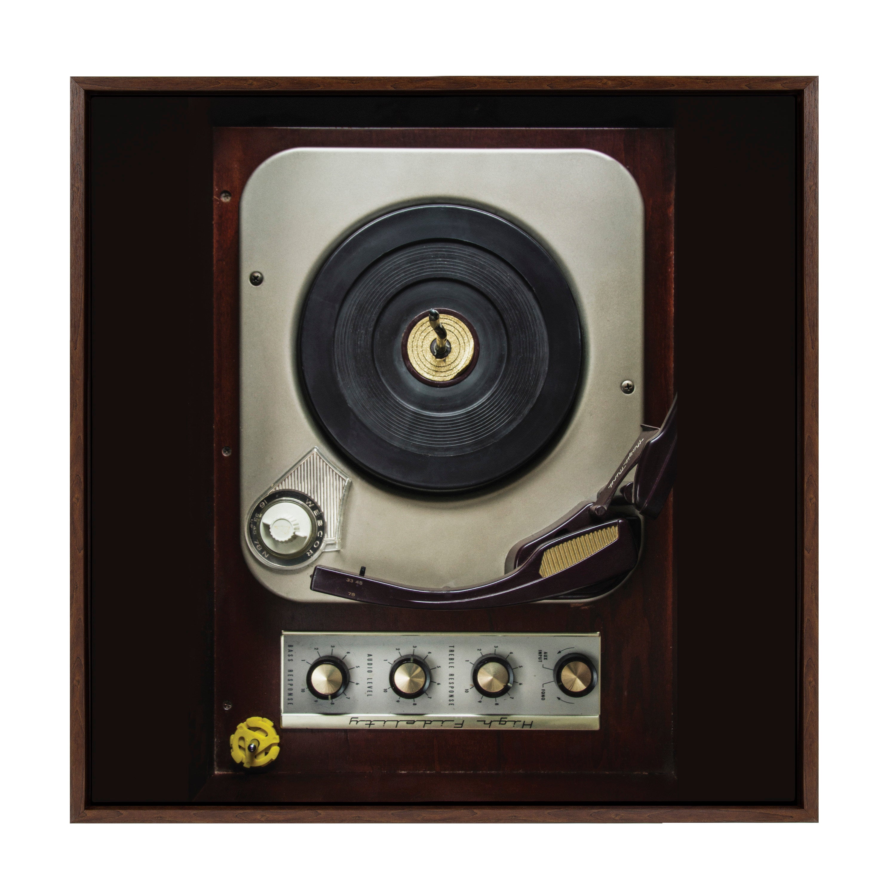 Sylvie High Fidelity Framed Canvas by Emiko and Mark Franzen of F2Images