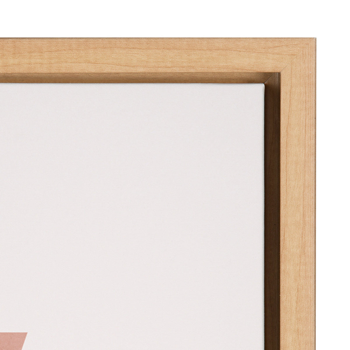 Sylvie Venice 5 Framed Canvas by Alexander Ginzburg