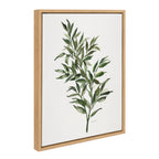 Sylvie Ruscus Framed Canvas by Patricia Shaw