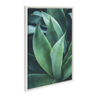 Sylvie Agave II Framed Canvas by F2 Images