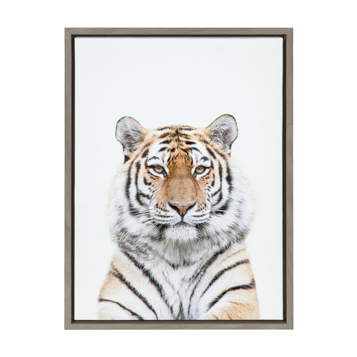 Sylvie Tiger Portrait Framed Canvas by Amy Peterson Art Studio