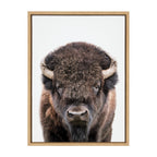 Sylvie Bison Portrait Framed Canvas by Amy Peterson Art Studio