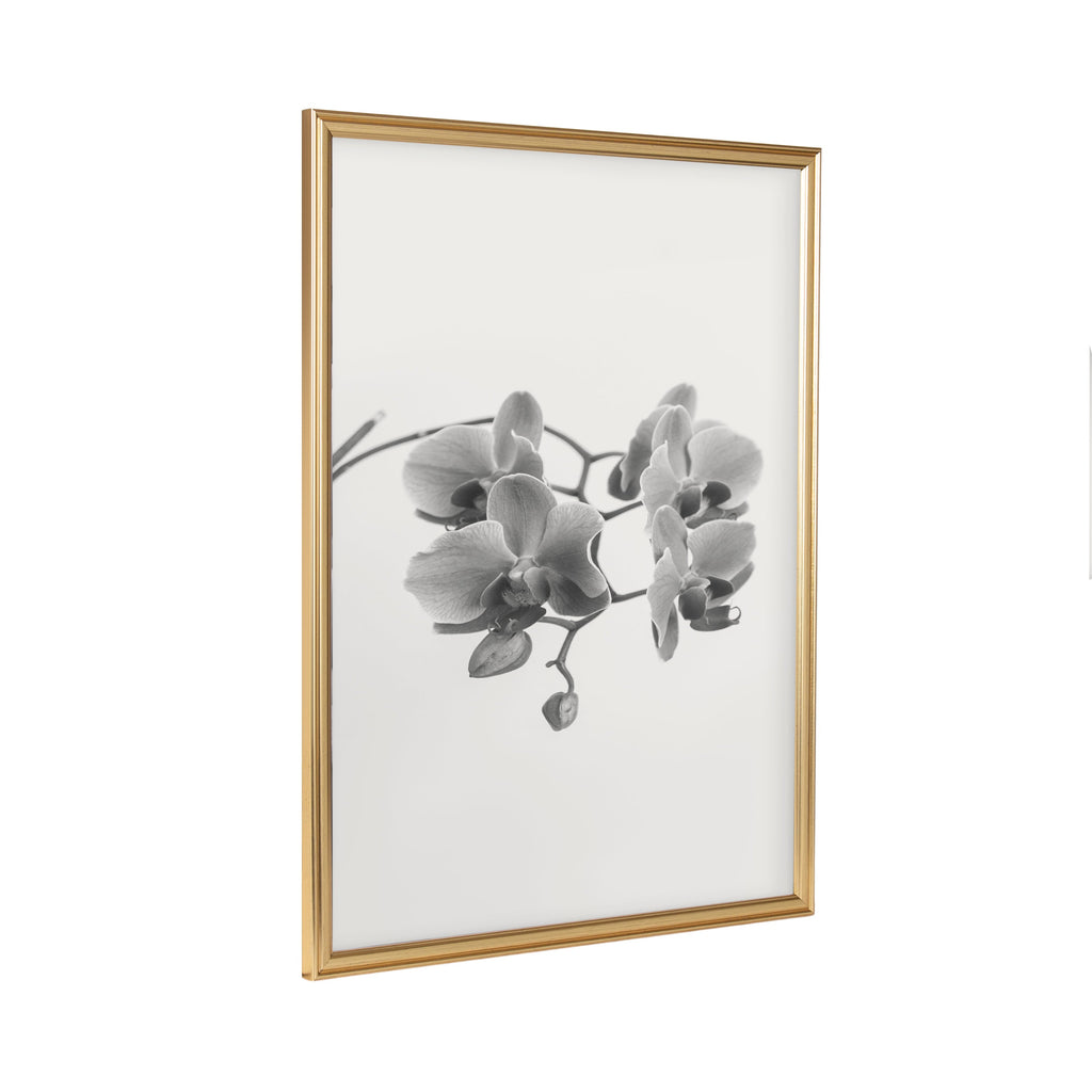 Adlynn Photo Frame Set