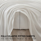 Jersey Sheet - Carmen Collection