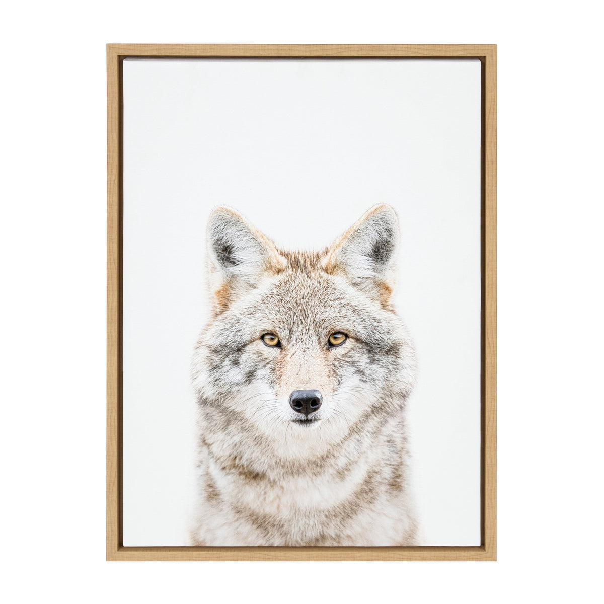 Sylvie Wolf Portrait Framed Canvas by Amy Peterson Art Studio