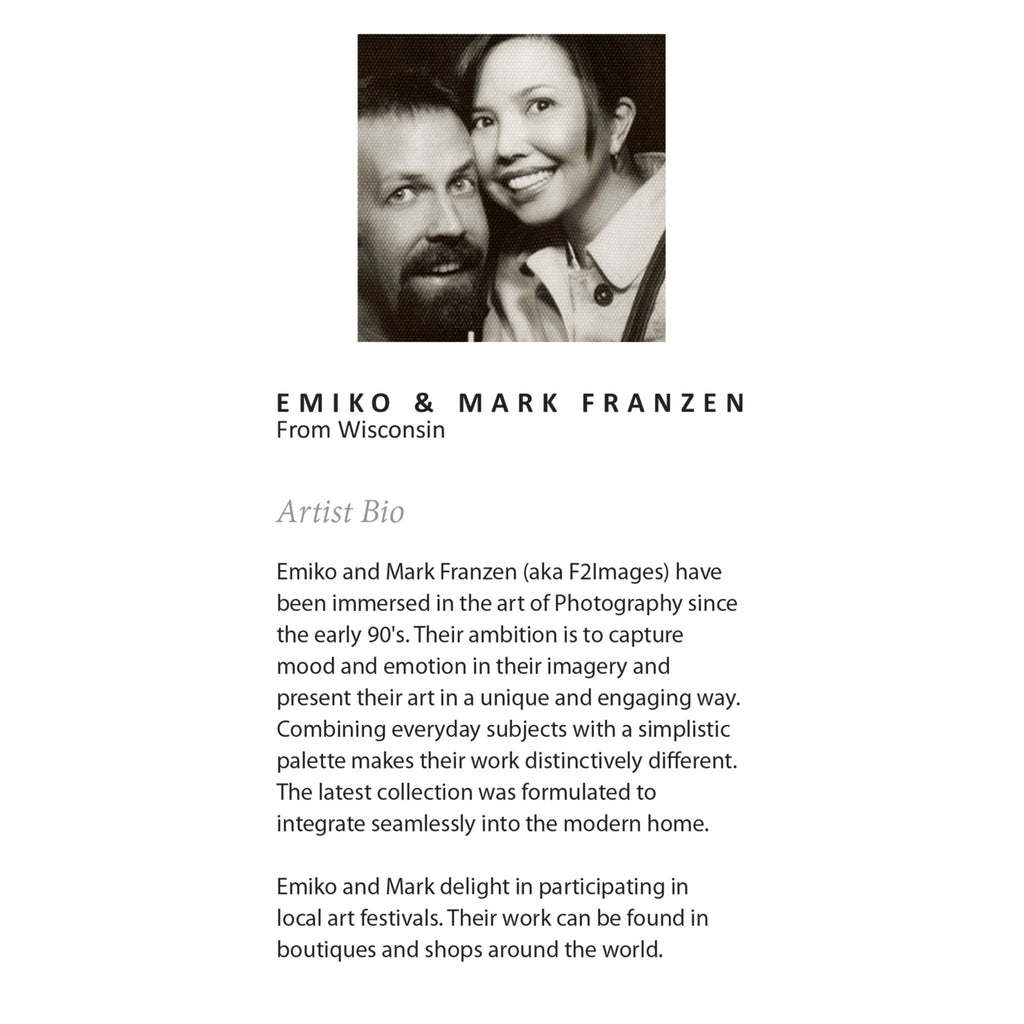 Sylvie Ancient History Framed Canvas by Emiko and Mark Franzen of F2Images