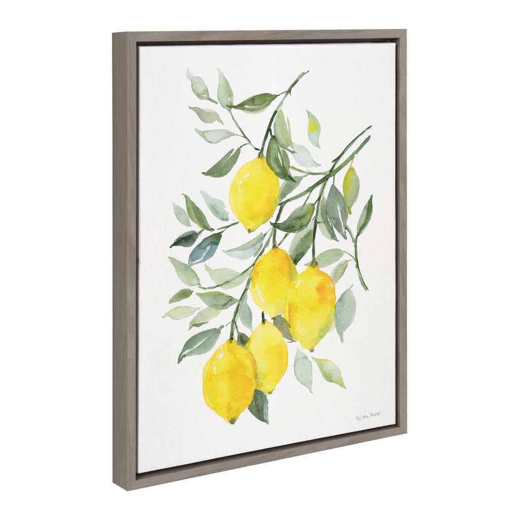Sylvie Lemon Citrus Framed Canvas by Patricia Shaw