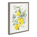 Sylvie Lemon Citrus Framed Canvas by Patricia Shaw
