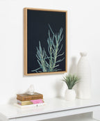Sylvie Succulent 16 Framed Canvas by F2 Images