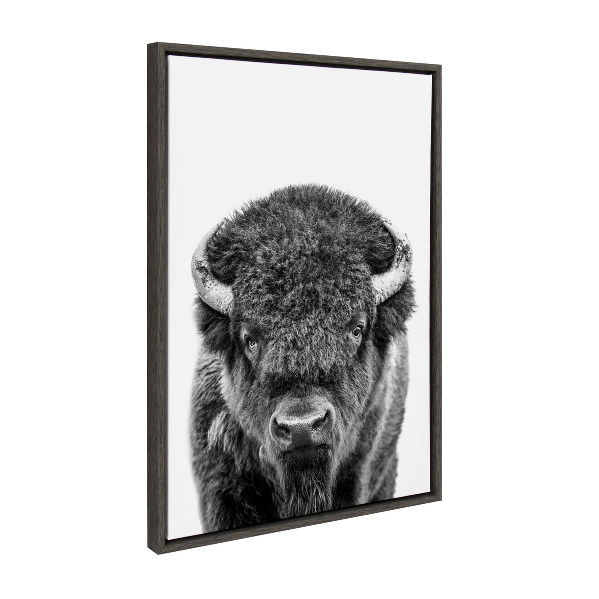 Sylvie Bison Portrait Black and White Framed Canvas by Amy Peterson Art Studio