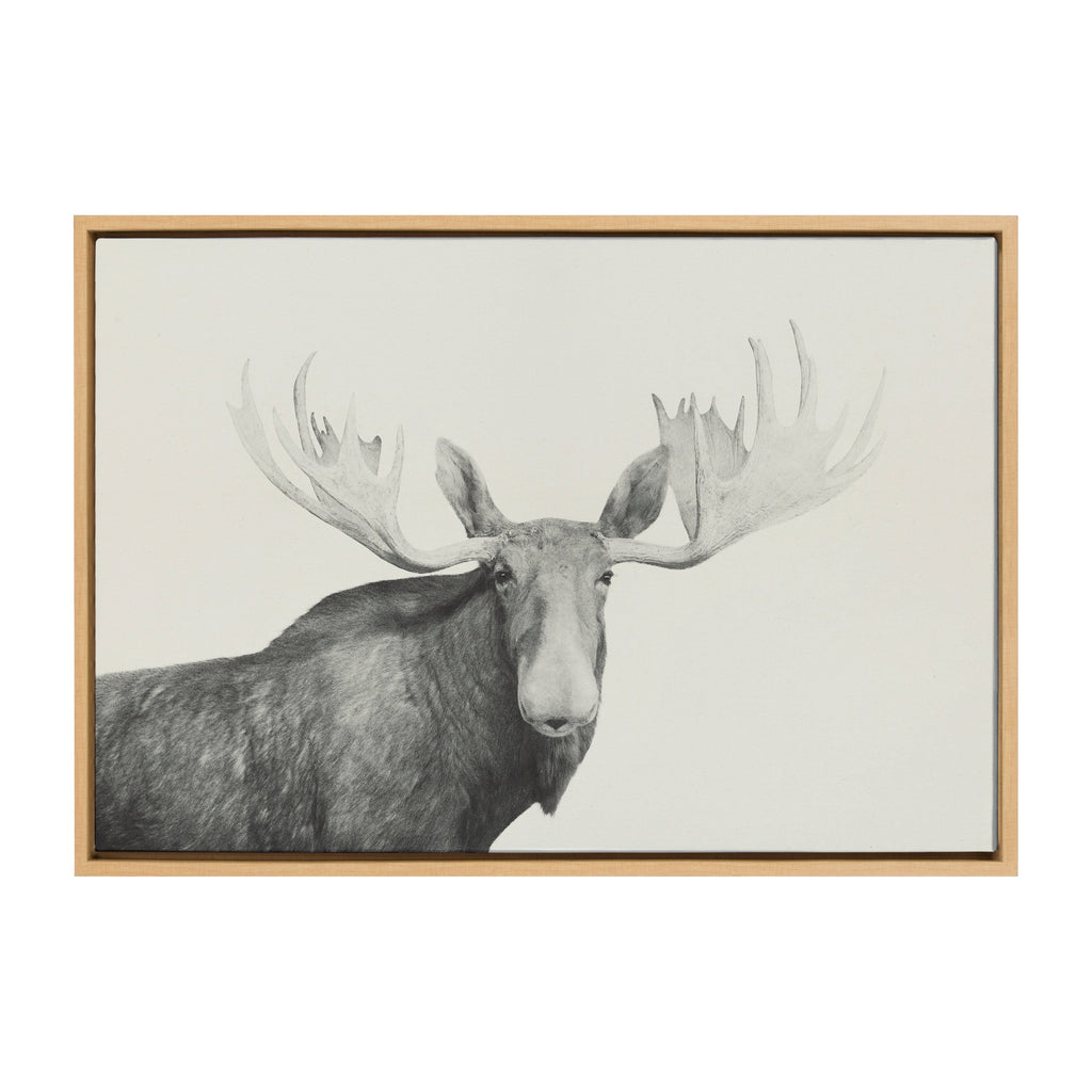 Sylvie Moose 2 crop BW Framed Canvas by Emiko and Mark Franzen of F2Images