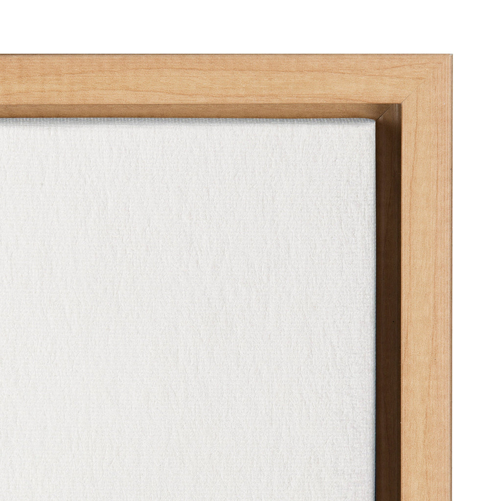 Sylvie Ruscus Framed Canvas by Patricia Shaw