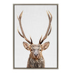 Sylvie The Red Deer Color Framed Canvas by Simon Te of Tai Prints