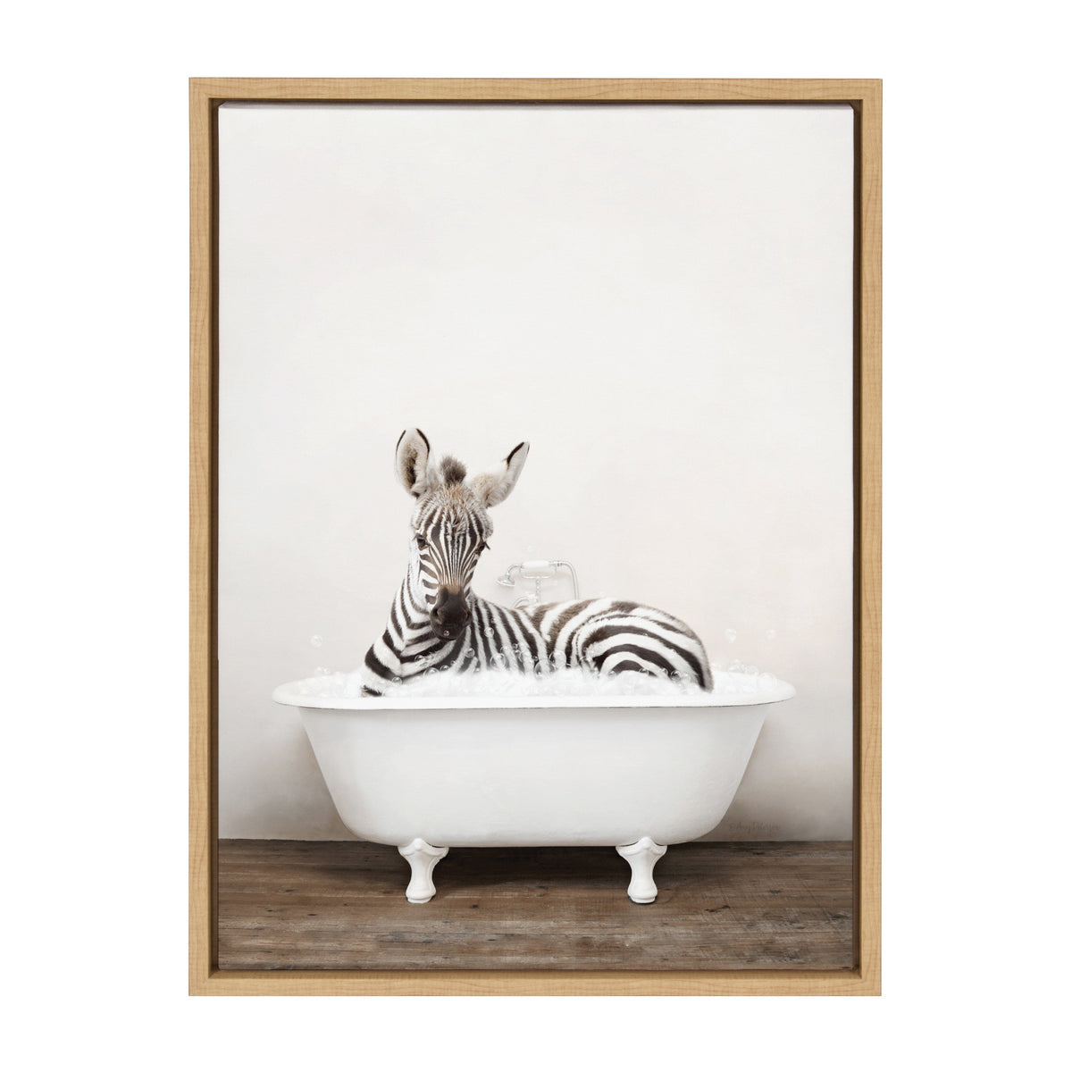 Sylvie Baby Zebra in Rustic Bath Framed Canvas by Amy Peterson Art Studio