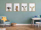 Sylvie Animal Studio Lamb Framed Canvas by Amy Peterson Art Studio