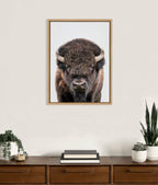 Sylvie Bison Portrait Framed Canvas by Amy Peterson Art Studio