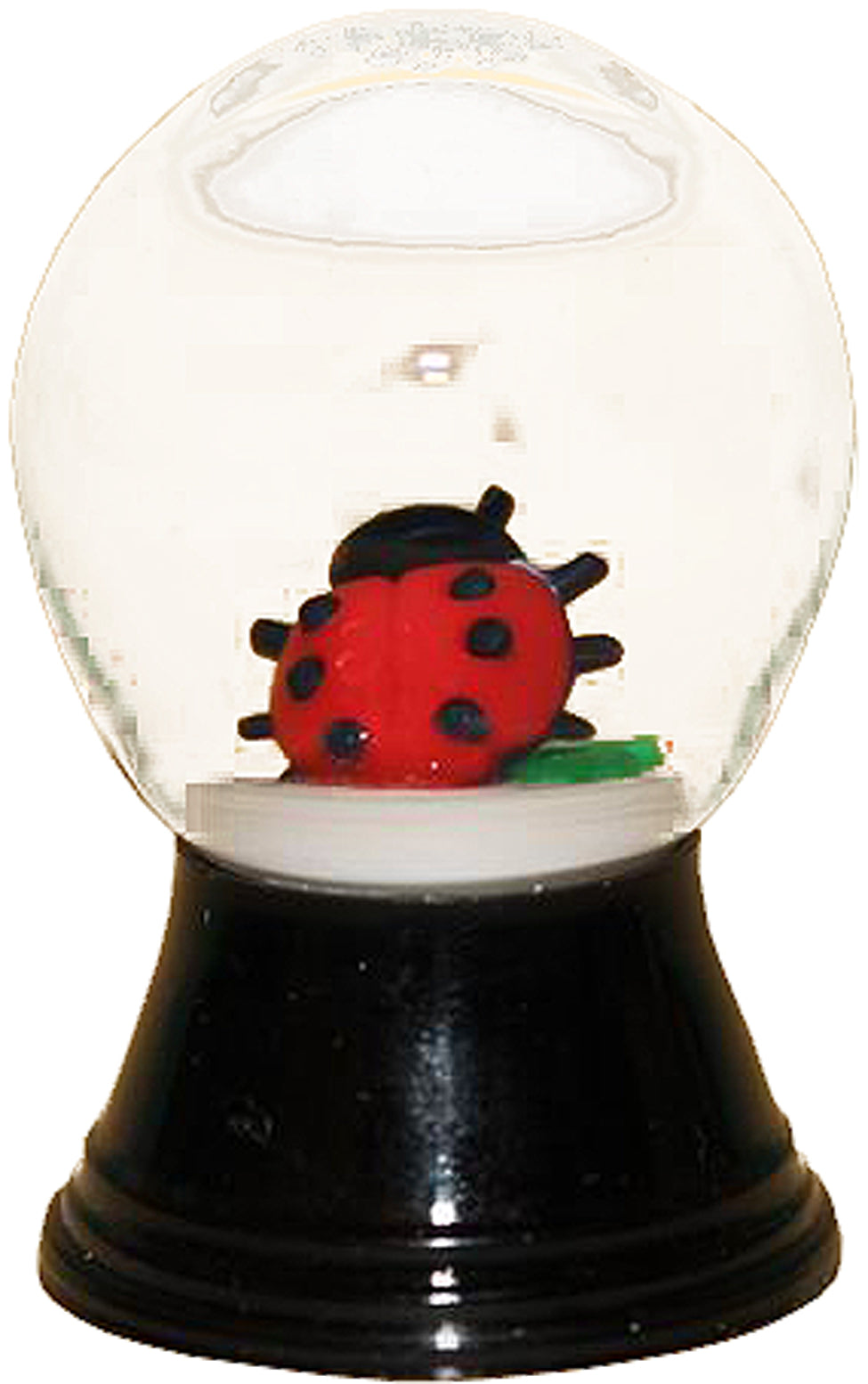 Snoglbemini Ladybug Each