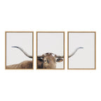 Sylvie Texas Longhorn 1 2 3 Framed Canvas by The Creative Bunch Studio