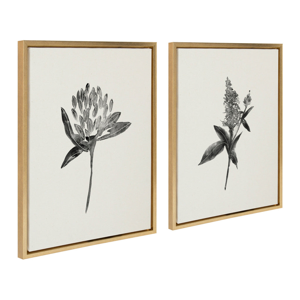 Sylvie Vintage Botanical 1 and 2 Framed Canvas by Teju Reval of SnazzyHues