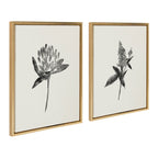 Sylvie Vintage Botanical 1 and 2 Framed Canvas by Teju Reval of SnazzyHues