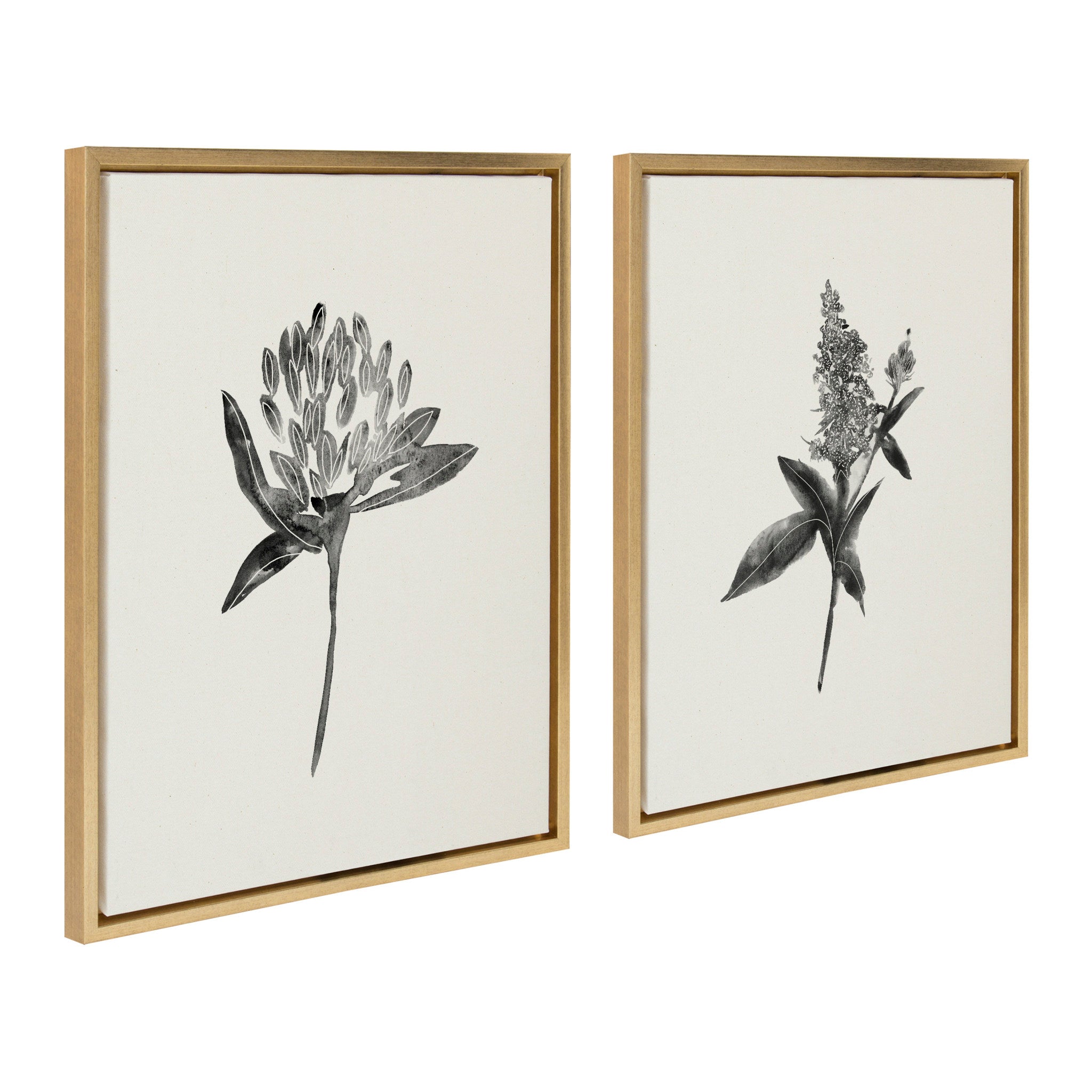 Sylvie Vintage Botanical 1 and 2 Framed Canvas by Teju Reval of SnazzyHues