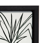 Sylvie Plant Kingdom  Framed Canvas by Teju Reval
