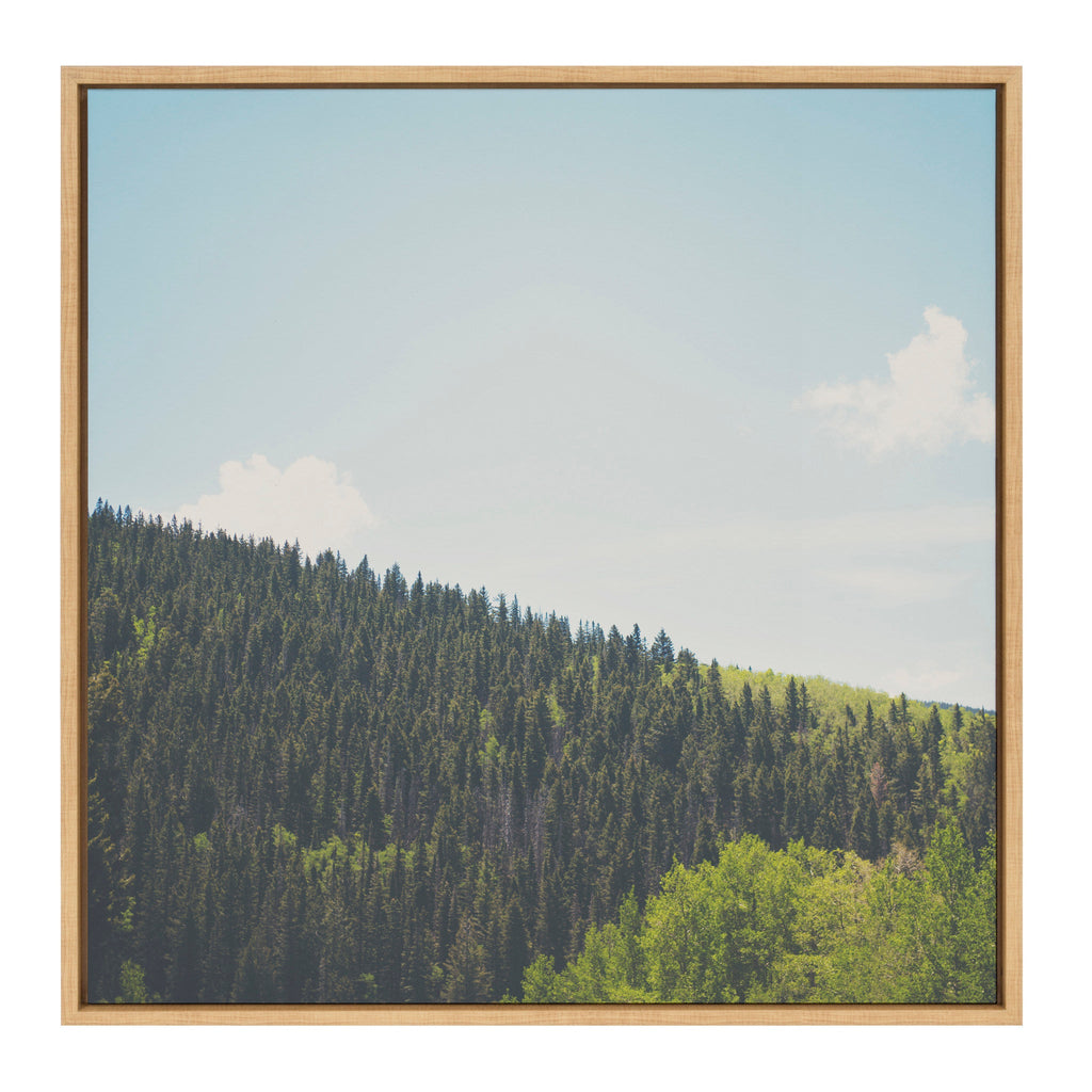 Sylvie Above the Tree Line Framed Canvas by Laura Evans