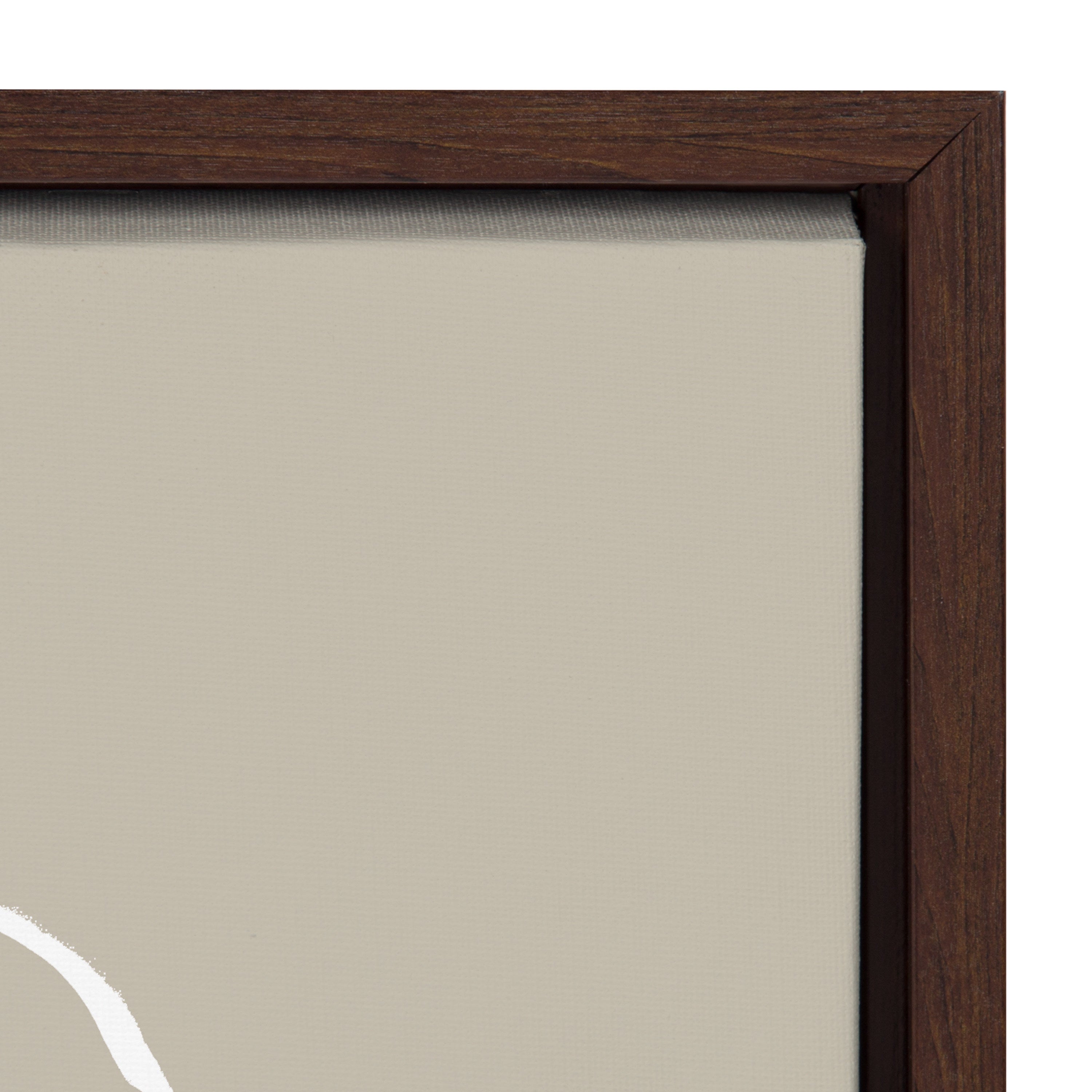 Sylvie Beige Going in Circles Framed Canvas Set by Teju Reval of SnazzyHues