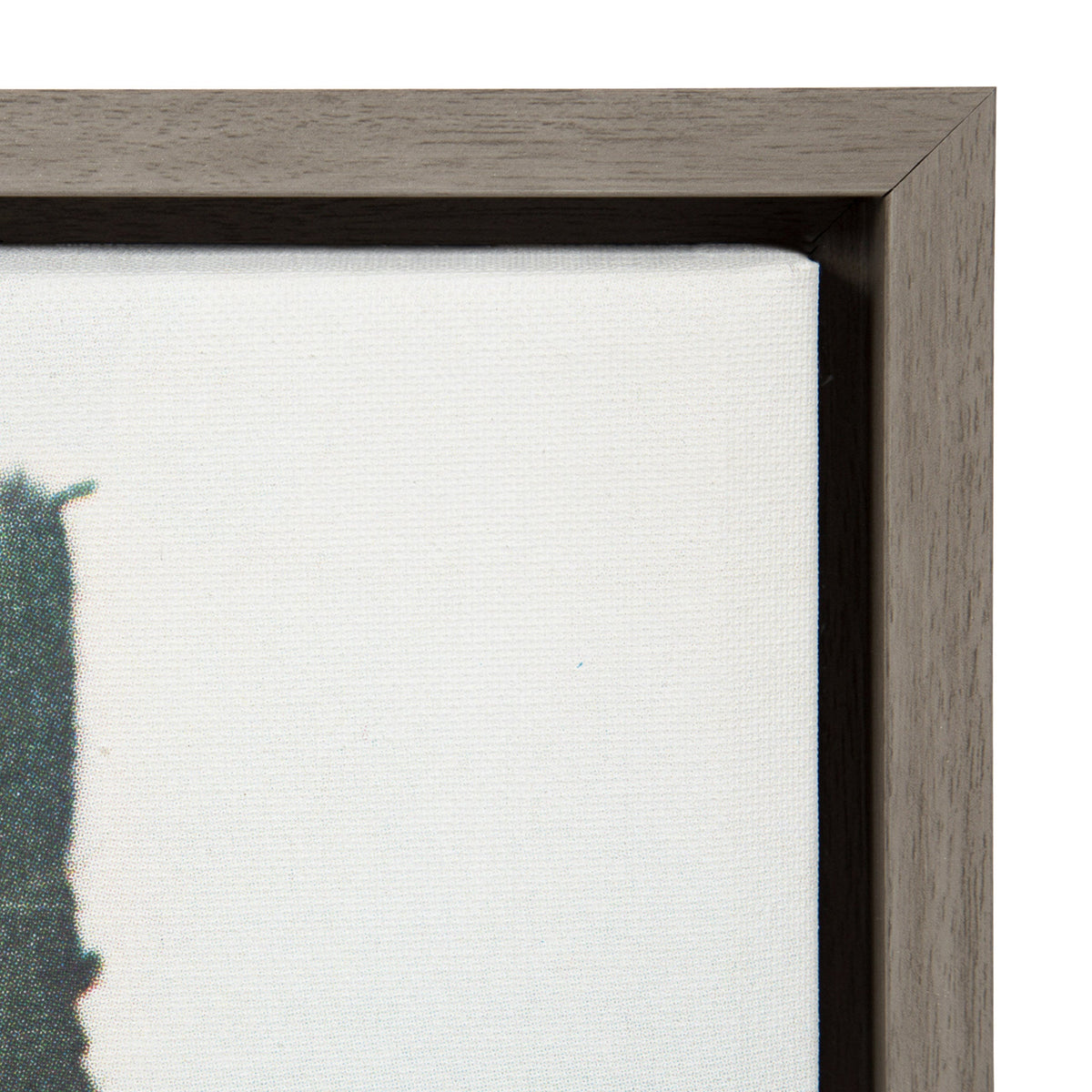 Sylvie Décor Framed Canvas by Sarah Eisenlohr