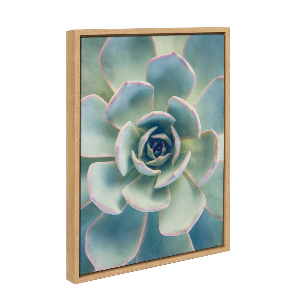 Sylvie Succulent 7 Framed Canvas by F2 Images