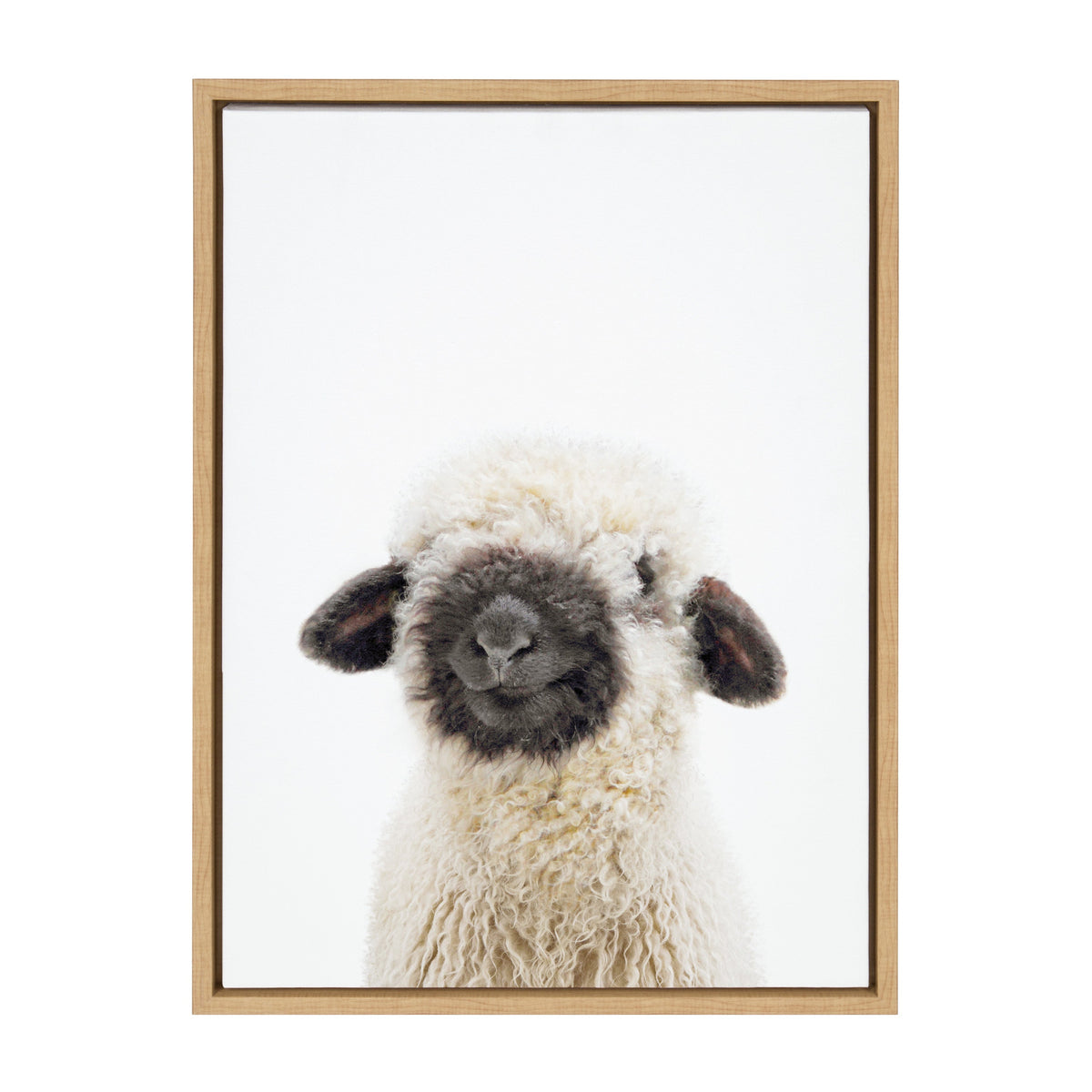 Sylvie Animal Studio Black Nosed Sheep Framed Canvas by Amy Peterson Art Studio