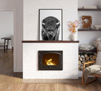 Sylvie Bison Portrait Black and White Framed Canvas by Amy Peterson Art Studio