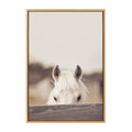 Sylvie Equine Framed Canvas by Robert Cadloff of Bomobob