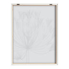 Blake Bell Agapanthus X Ray Floral BW Framed Printed Art by The Creative Bunch Studio