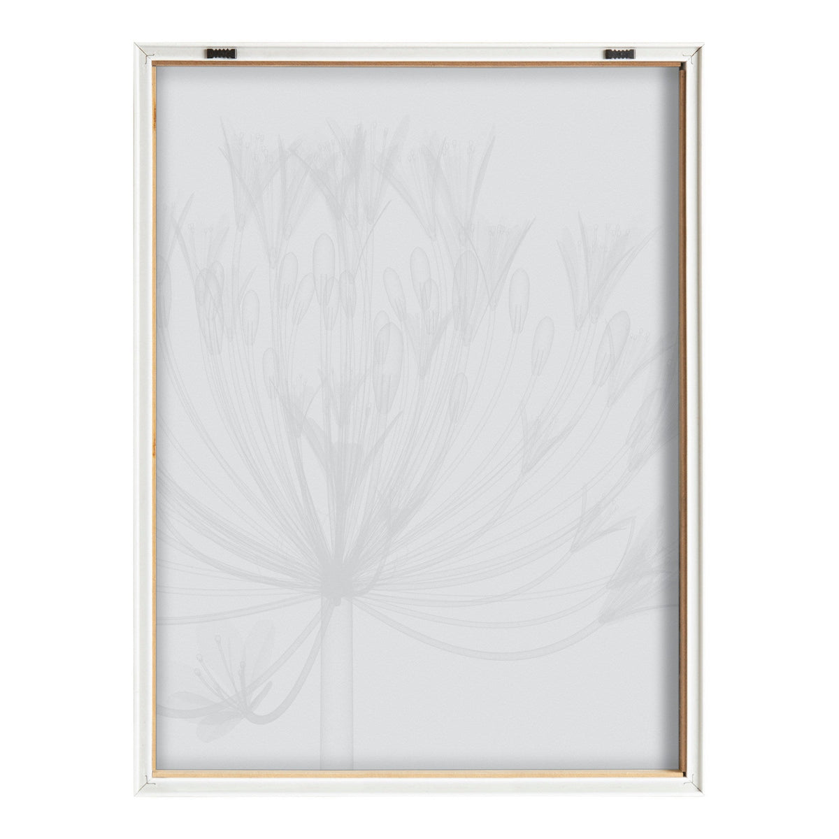 Blake Bell Agapanthus X Ray Floral BW Framed Printed Art by The Creative Bunch Studio