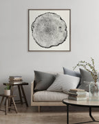 Sylvie Tree Rings Linen Framed Canvas by Emiko and Mark Franzen of F2Images