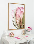 Sylvie Pink Protea Flower Framed Canvas by Amy Peterson