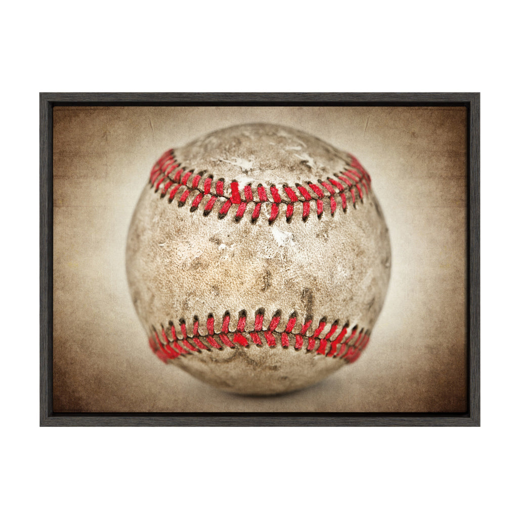 Sylvie Vintage Hardball Framed Canvas by Shawn St. Peter