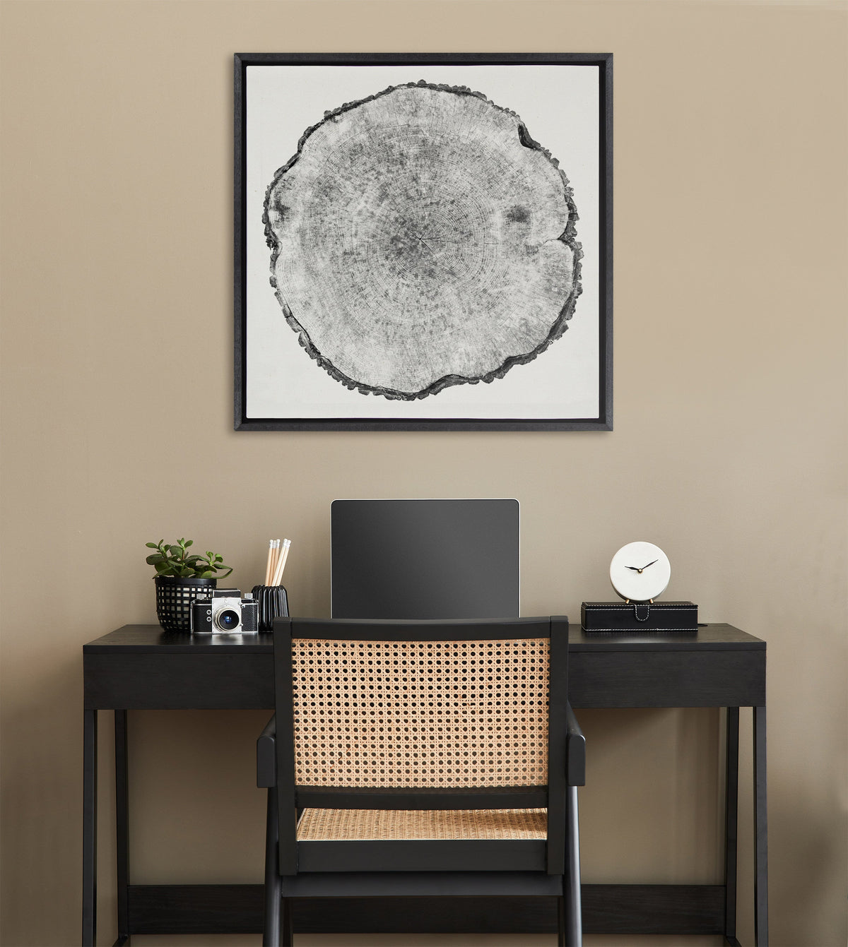 Sylvie Tree Rings Linen Framed Canvas by Emiko and Mark Franzen of F2Images