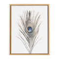 Sylvie Peacock Feather Framed Canvas by Simon Te of Tai Prints