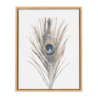 Sylvie Peacock Feather Framed Canvas by Simon Te of Tai Prints