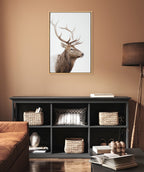 Sylvie Stag Profile Framed Canvas by Amy Peterson Art Studio
