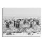 Herd of Highland Cows BW Floating Acrylic Art by The Creative Bunch Studio