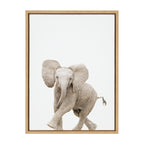 Sylvie Baby Elephant Walk Framed Canvas by Amy Peterson Art Studio