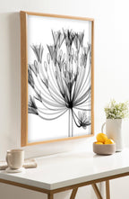 Blake Bell Agapanthus X Ray Floral BW Framed Printed Art by The Creative Bunch Studio