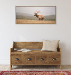 Sylvie Tule Elk No 3 Framed Canvas by Crystal Lynn Collins