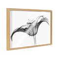 Blake Lily X Ray Floral BW Framed Printed Art by The Creative Bunch Studio