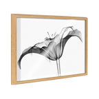 Blake Lily X Ray Floral BW Framed Printed Art by The Creative Bunch Studio