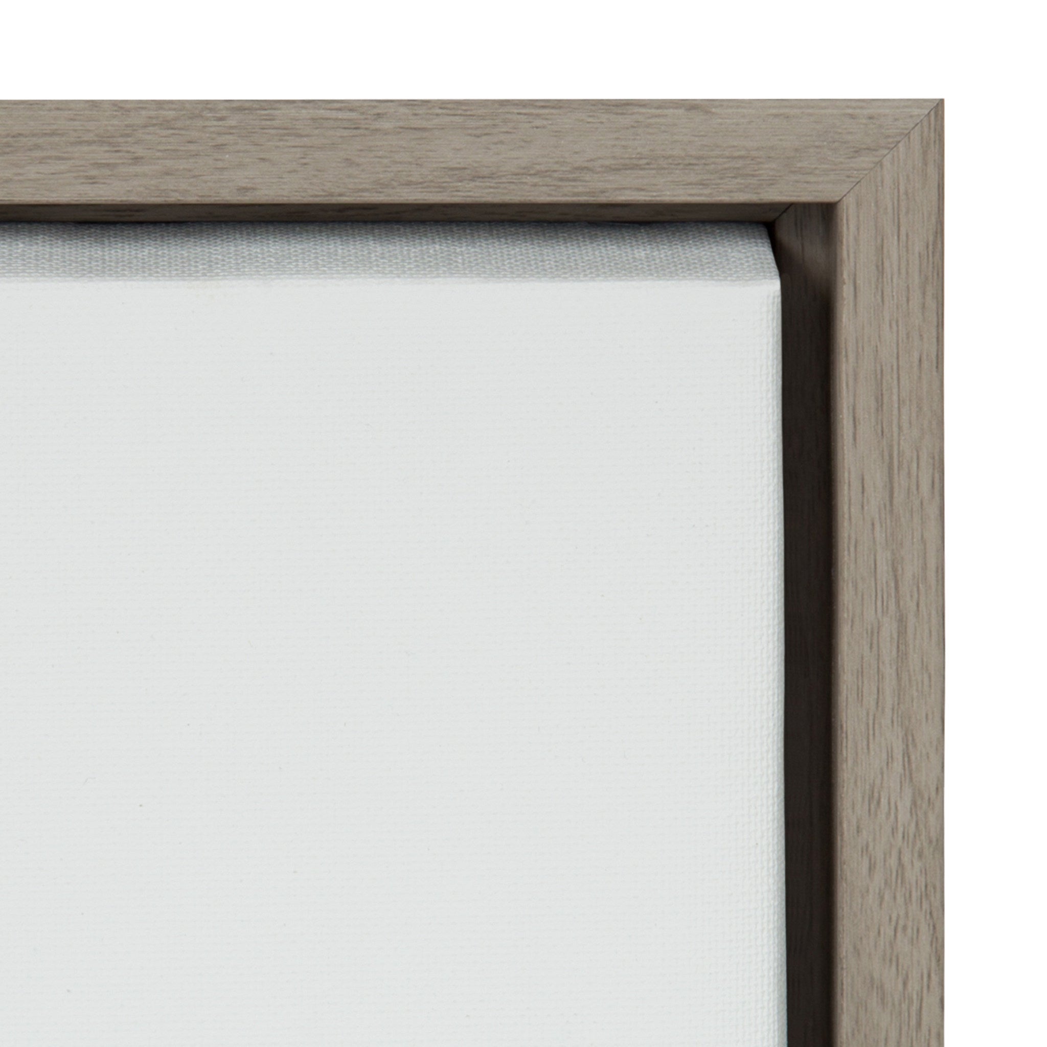 Sylvie Hydrangea Cluster Framed Canvas by Emiko and Mark Franzen of F2Images
