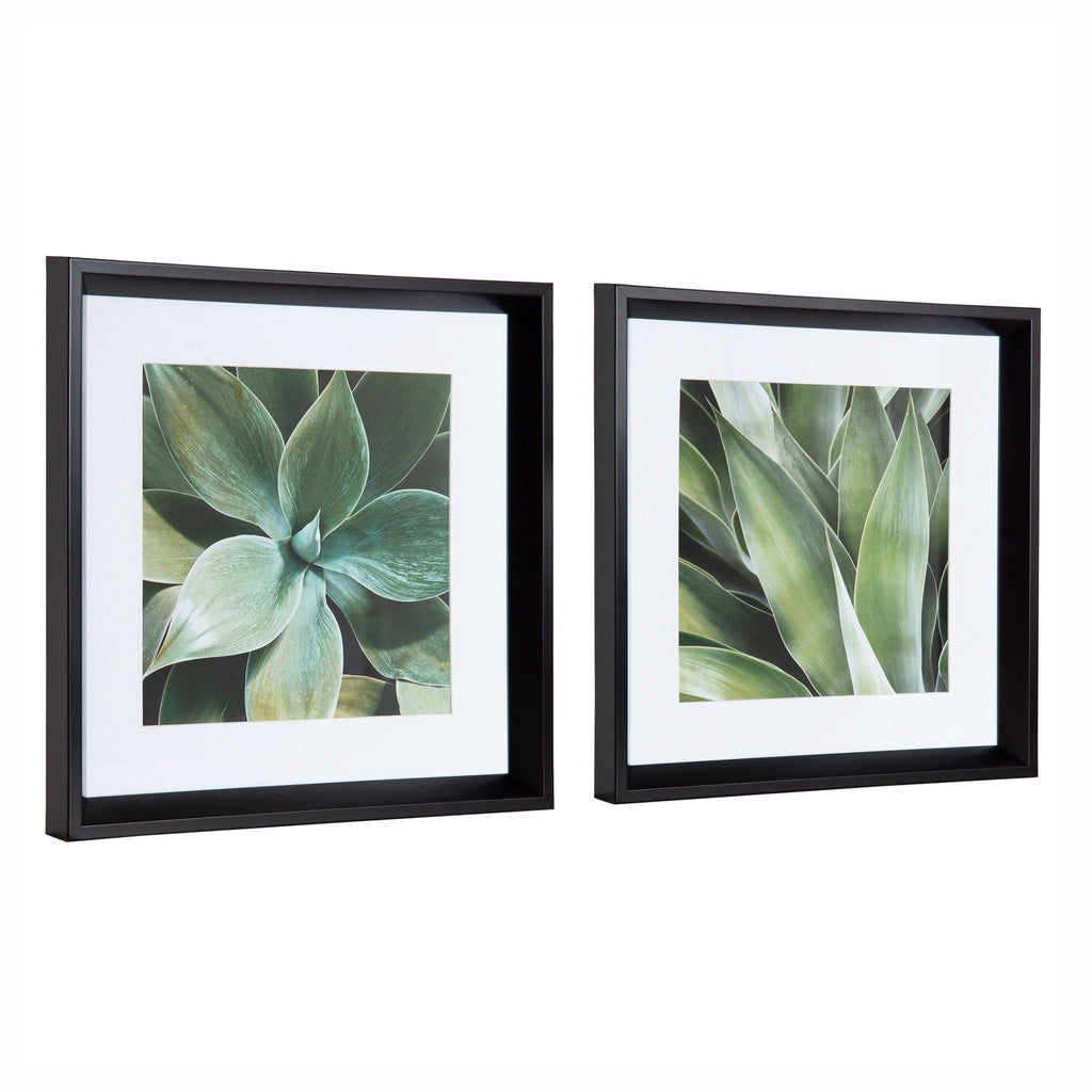 Calter Succulent Leaves Framed Print Art Set by Amy Peterson